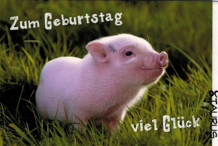 geburtstagsspruch originell